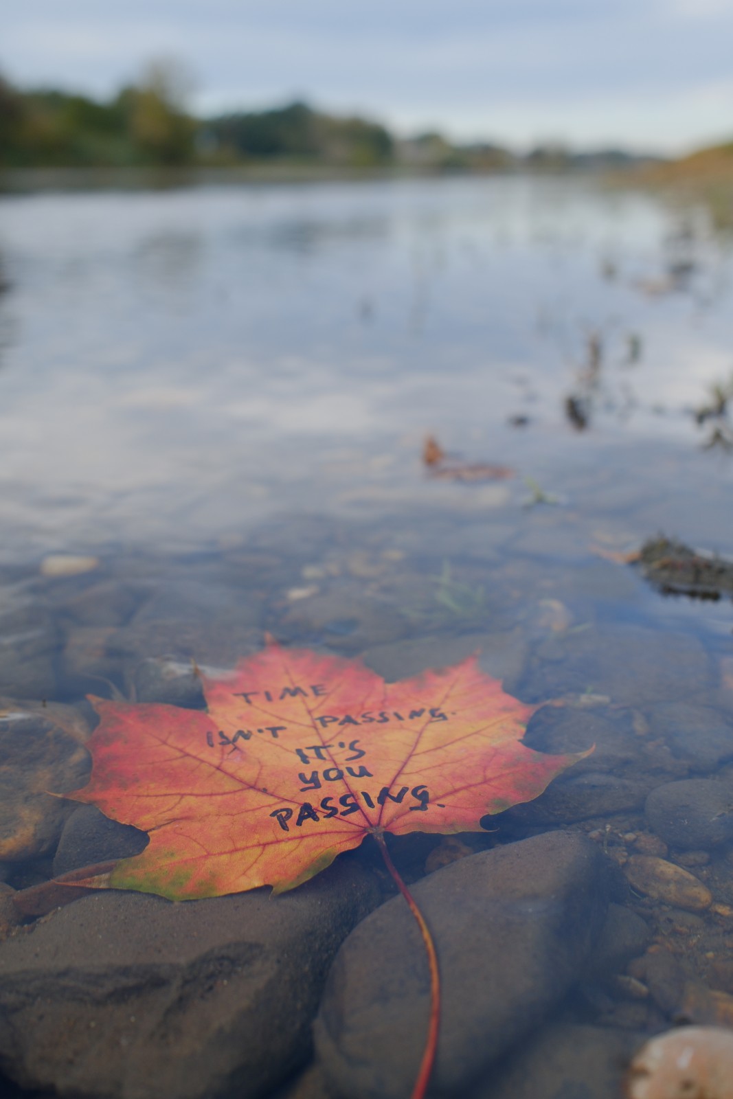 Time isn't passing. It's you passing. Time isn't passing. It's you passing.